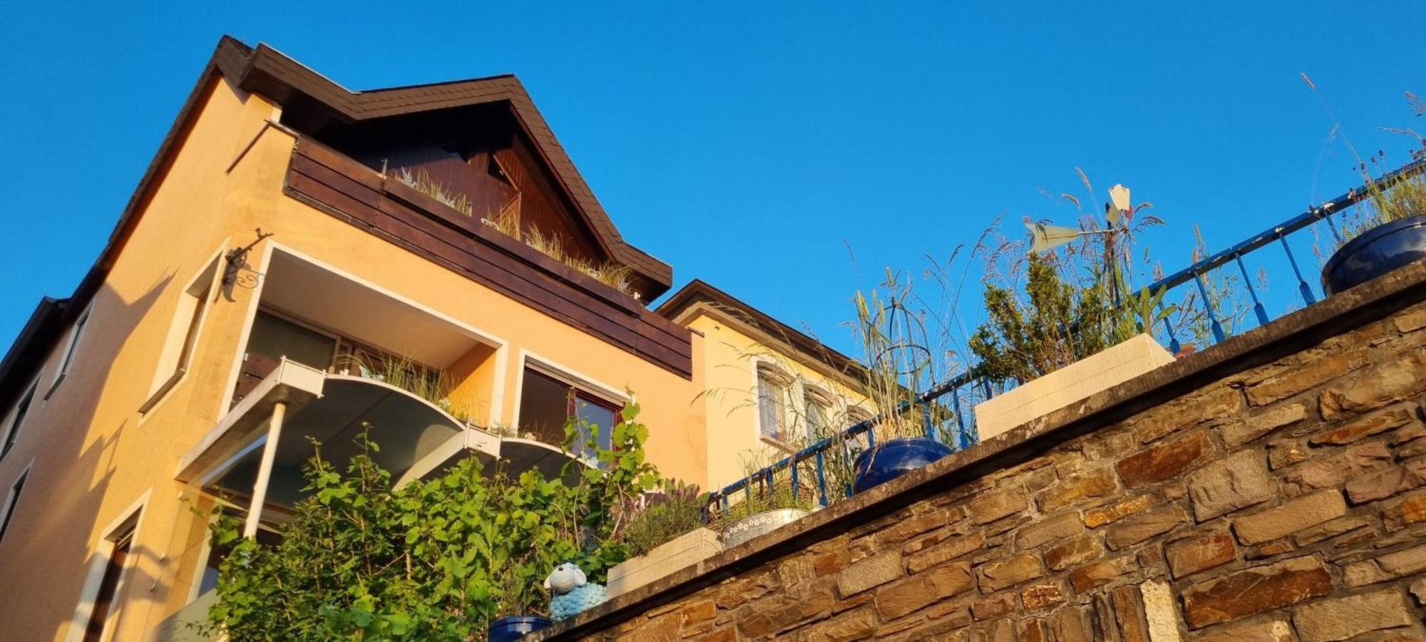 Pension Regina Cochem Luaran gambar