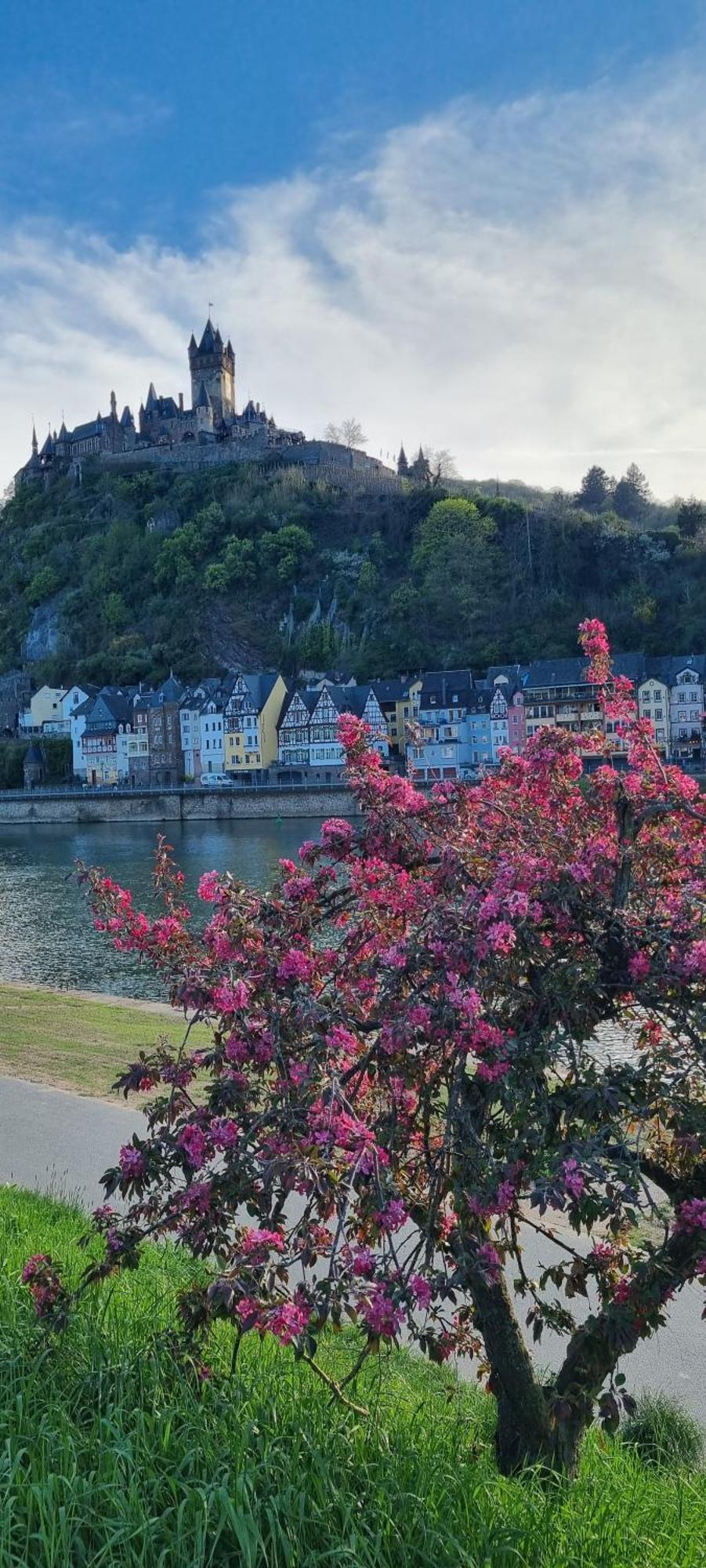 Pension Regina Cochem Luaran gambar